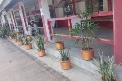 Report-on-Plantation-and-Beautification-Drive-by-Eco-Club-of-DGC-on-19th-7