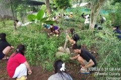 Social-work-2022-1